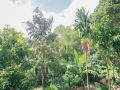 madushanka-resort