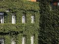 as-janelas-verdes-a-lisbon-heritage-collection