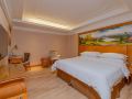 venus-international-hotel-shenzhen-gongming-square-metro-station-and-tianhong-branch
