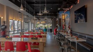 the-locale-hotel-grand-cayman