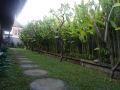mai-guesthouse-sanur