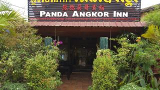 panda-angkor-inn