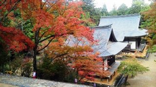 kyoto-takao-kanko-hotel