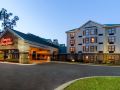 hampton-inn-and-suites-tampa-north