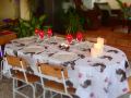 le-cactus-guesthouse