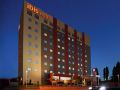 ibis-uberaba