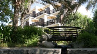ja-palm-tree-court
