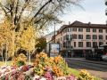 hotel-des-alpes