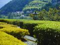 river-retreat-garaku