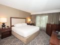 doubletree-suites-by-hilton-atlanta-galleria