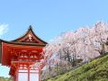 stay-sakura-kyoto-nijo-seasons