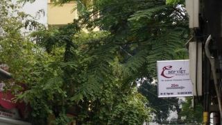 ylangylang-homestay