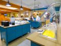 country-inn-and-suites-by-radisson-orlando-fl