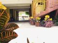 hotel-club-diamante