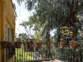 hacienda-del-molino