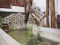 pavilion-guesthouse-and-homestay