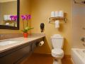 best-western-plus-addison-dallas-hotel