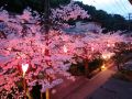 sento-ryokan
