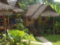 jungle-garden