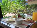 beauty-garden-hotel