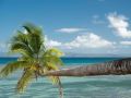 taveuni-palms-resort