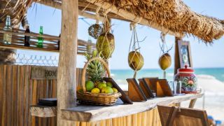 alaya-tulum