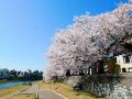 k-s-house-kanazawa-travelers-hostel