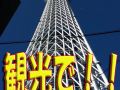hotel-hikari
