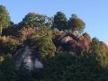 iwamitei