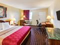 rodeway-inn-and-suites-hwy-290