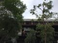 here-hostel-bangkok