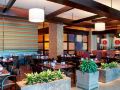 hilton-americas-houston