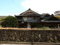 in-bloom-beppu