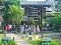 squirrel-hostel-chiangmai