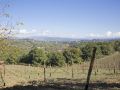 fattoria-il-milione
