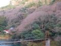 hakkouen-izumo-no-kakure-yado