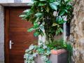 apartment-peristil-aurea