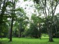 baan-maka-nature-lodge