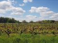 chateau-de-troussay