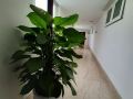 goplus-hotel-apartment