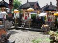 nick-s-homestay