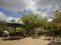 balis-best-bar-and-resort