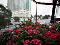 shamrock-garden-ipoh