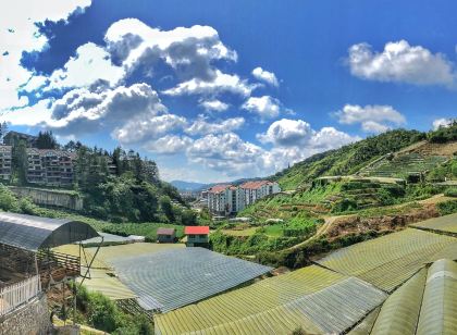 Kea Garden Mini Chalet