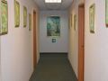 aleksandrovsky-park-hotel
