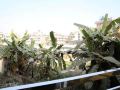 kathmandu-cityhill-studio-apartment