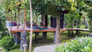tree-house-bali-guwang