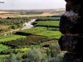 ramada-by-wyndham-diyarbakir