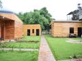 the-art-golden-jungle-house