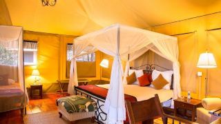 ngorongoro-forest-tented-lodge